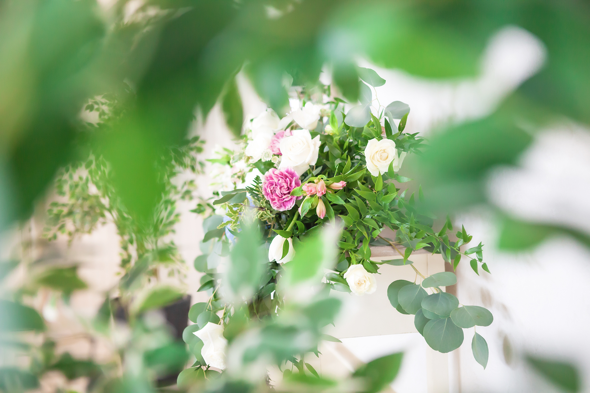 Read more about the article ホームページを公開致しました。